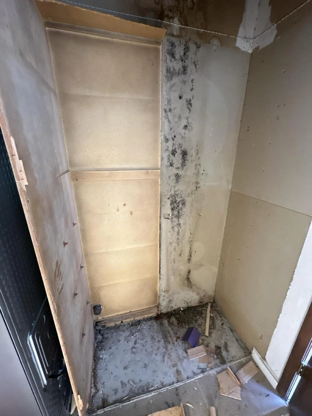 Mold on a closet wall, before remediation