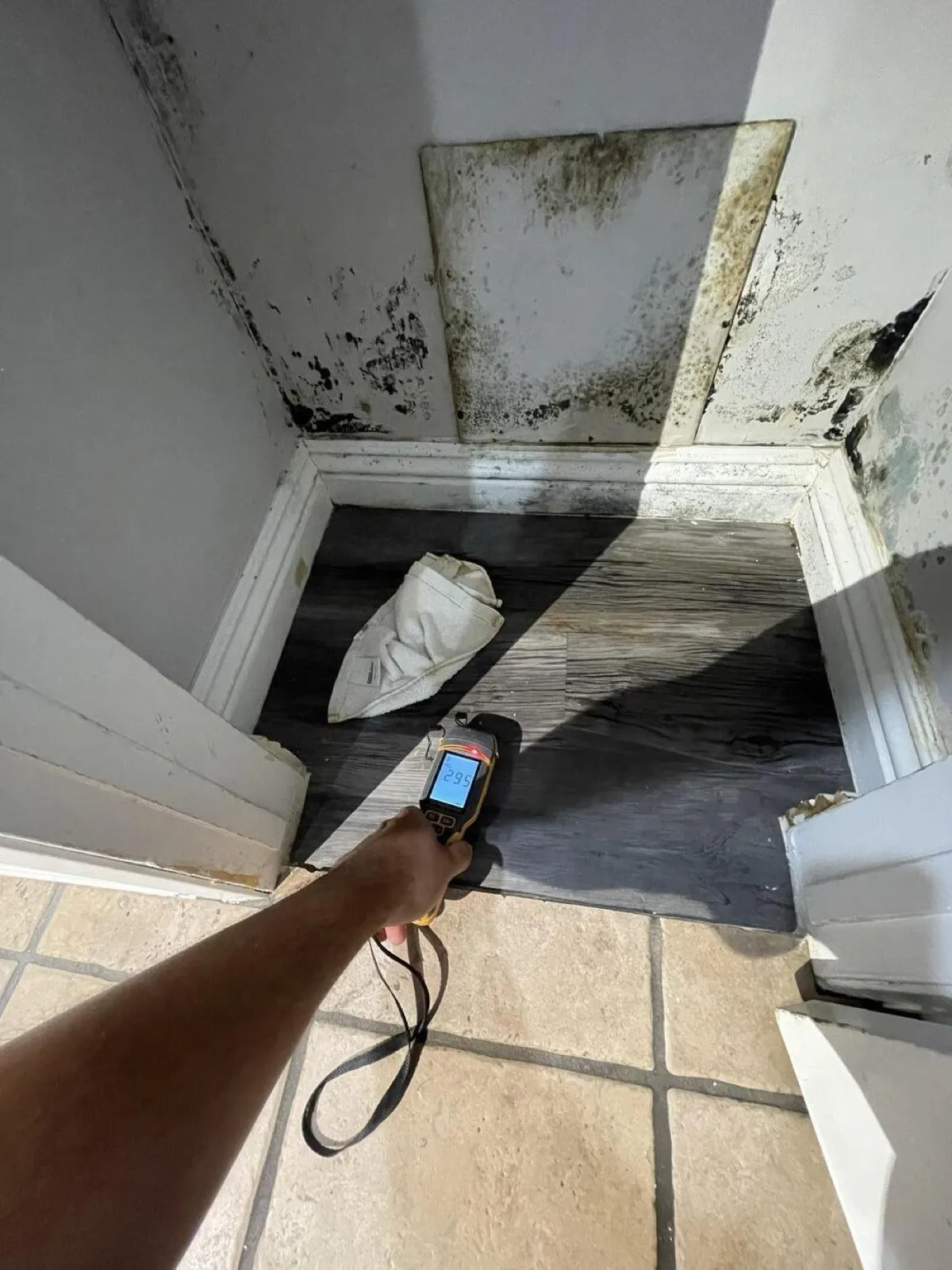 Moisture reading taken in a closet with mold on the walls, mold inspection in Las Vegas