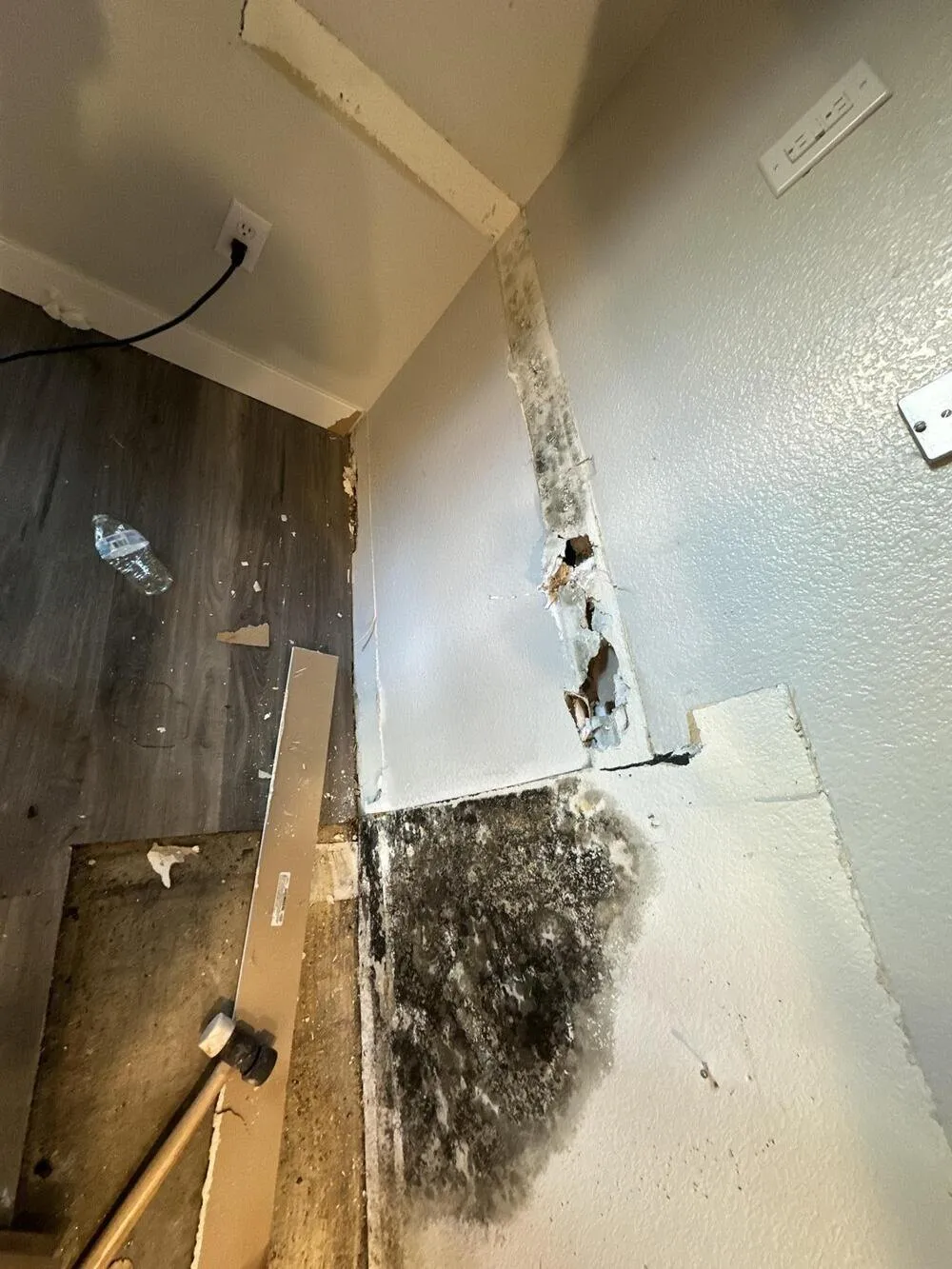 Large patch of mold on the lower wall in the corner of a room, mold remediation from Apex Home Services in Las Vegas