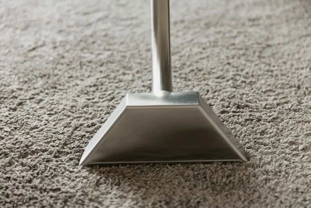Extraction wand head on wet carpet, water extraction from Apex Home Services in Las Vegas